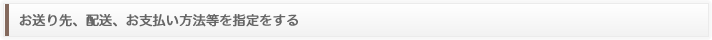 お送り先、配送、お支払い方法等を指定をする
